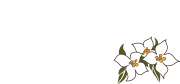 Syringa Logo